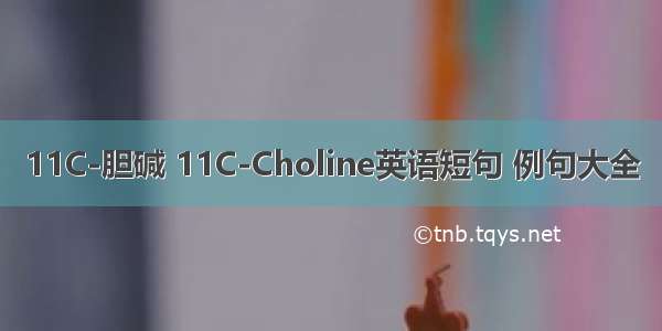 11C-胆碱 11C-Choline英语短句 例句大全