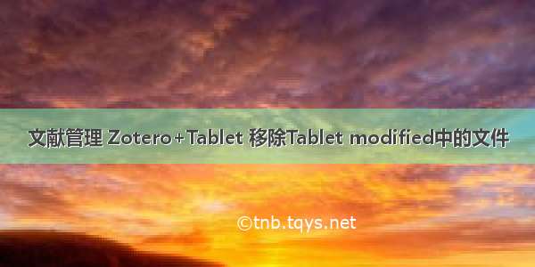 文献管理 Zotero+Tablet 移除Tablet modified中的文件