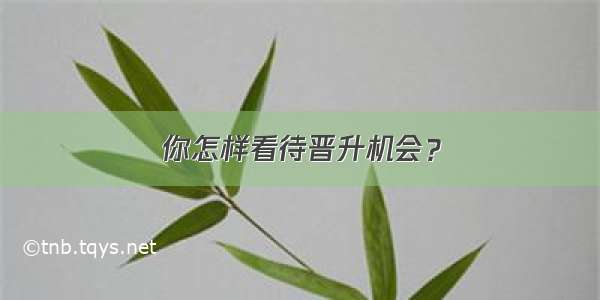 你怎样看待晋升机会？