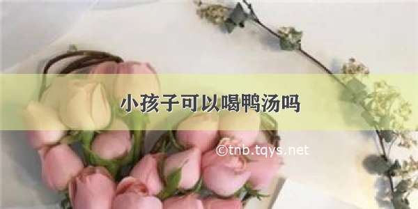 小孩子可以喝鸭汤吗