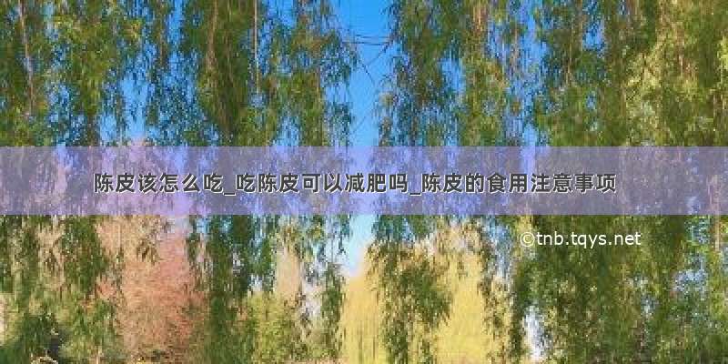 陈皮该怎么吃_吃陈皮可以减肥吗_陈皮的食用注意事项