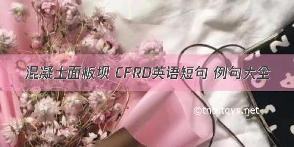 混凝土面板坝 CFRD英语短句 例句大全