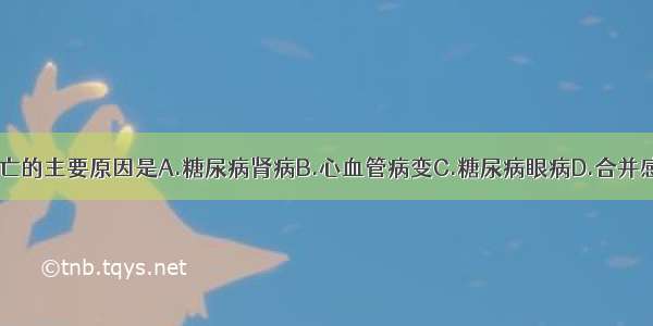 1型糖尿病死亡的主要原因是A.糖尿病肾病B.心血管病变C.糖尿病眼病D.合并感染E.糖尿病