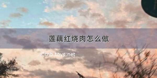 莲藕红烧肉怎么做