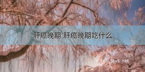 肝癌晚期 肝癌晚期吃什么