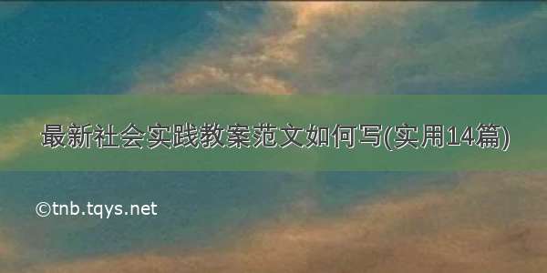 最新社会实践教案范文如何写(实用14篇)