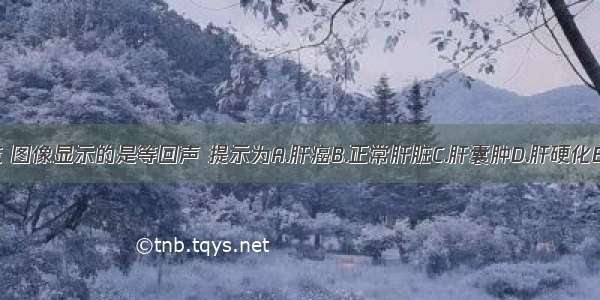 肝脏超声波检查 图像显示的是等回声 提示为A.肝癌B.正常肝脏C.肝囊肿D.肝硬化E.肝脓肿ABCDE