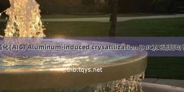 铝诱导晶化(AIC) Aluminum-induced crysatllization (AIC)英语短句 例句大全