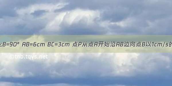 在△ABC中 ∠B=90° AB=6cm BC=3cm 点P从点A开始沿AB边向点B以1cm/s的速度移动 