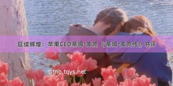 延续辉煌：苹果CEO蒂姆·库克 《蒂姆·库克传》书评