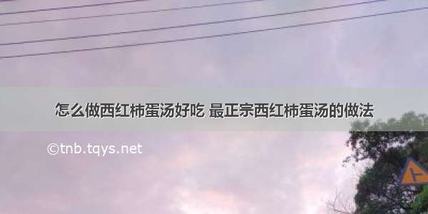 怎么做西红柿蛋汤好吃 最正宗西红柿蛋汤的做法