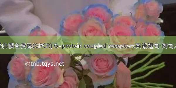 G蛋白偶合受体(GPCR) G-protein coupled receptors英语短句 例句大全