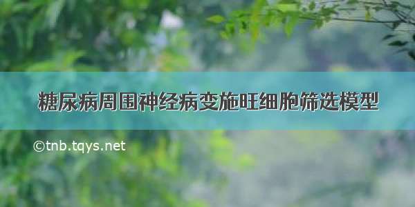 糖尿病周围神经病变施旺细胞筛选模型