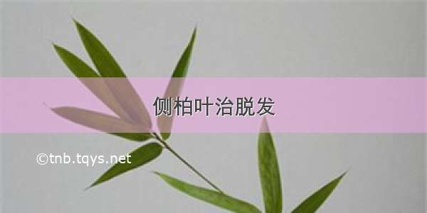 侧柏叶治脱发