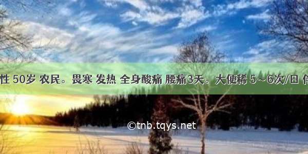 患者男性 50岁 农民。畏寒 发热 全身酸痛 腰痛3天。大便稀 5～6次/日 伴呕吐6