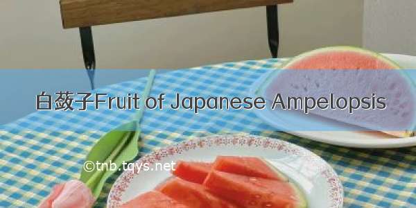 白蔹子Fruit of Japanese Ampelopsis