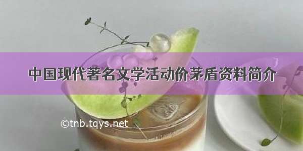 中国现代著名文学活动价茅盾资料简介