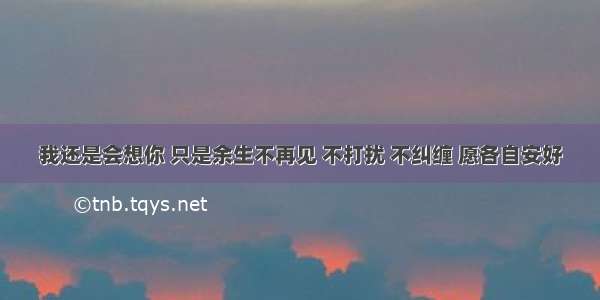 我还是会想你 只是余生不再见 不打扰 不纠缠 愿各自安好