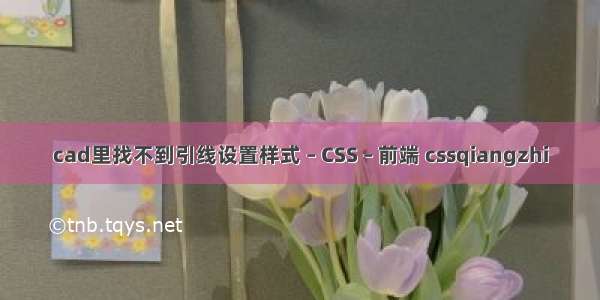 cad里找不到引线设置样式 – CSS – 前端 cssqiangzhi