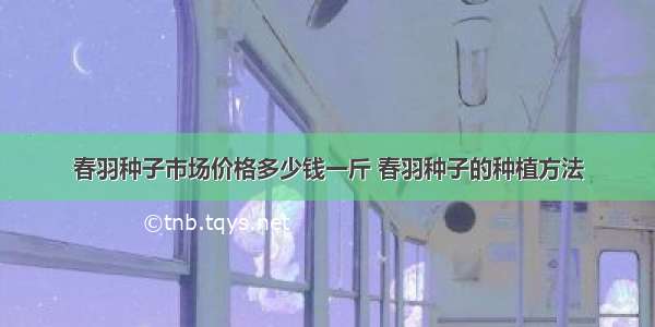 春羽种子市场价格多少钱一斤 春羽种子的种植方法