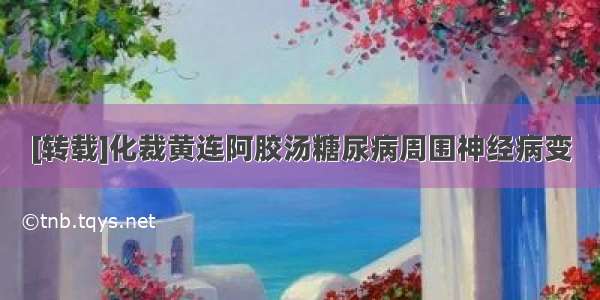 [转载]化裁黄连阿胶汤糖尿病周围神经病变