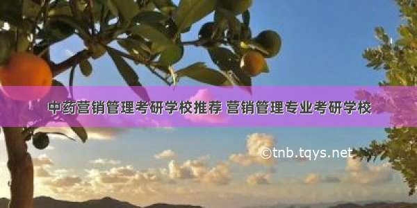 中药营销管理考研学校推荐 营销管理专业考研学校