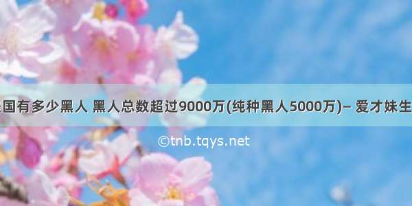 美国有多少黑人 黑人总数超过9000万(纯种黑人5000万)— 爱才妹生活