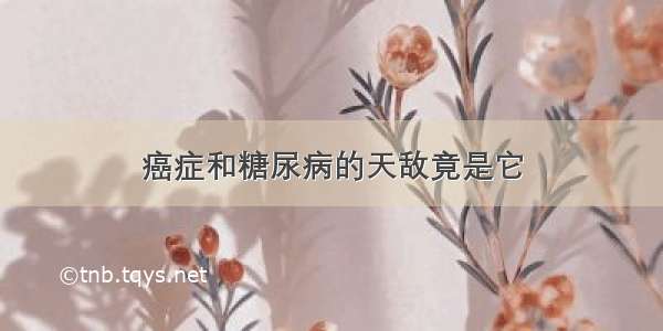 癌症和糖尿病的天敌竟是它