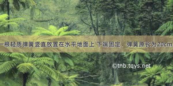 如图所示 一根轻质弹簧竖直放置在水平地面上 下端固定．弹簧原长为20cm 劲度系数k