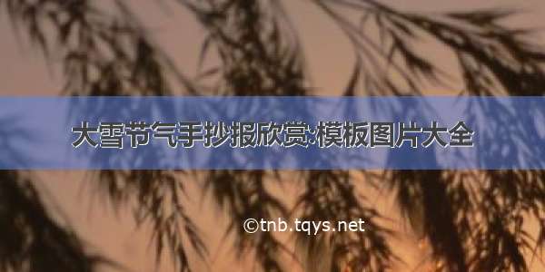 大雪节气手抄报欣赏:模板图片大全