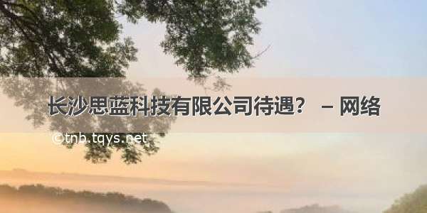 长沙思蓝科技有限公司待遇？ – 网络