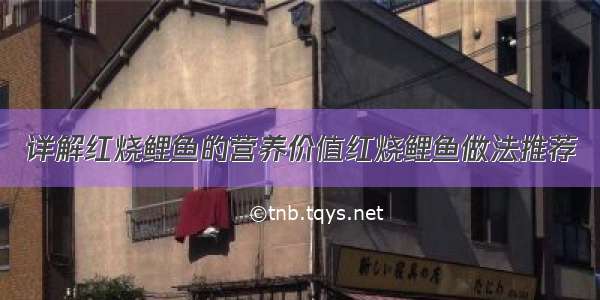 详解红烧鲤鱼的营养价值红烧鲤鱼做法推荐