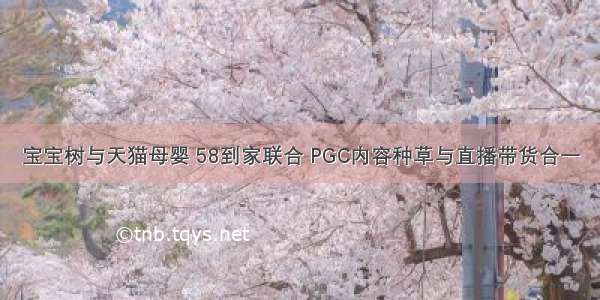 宝宝树与天猫母婴 58到家联合 PGC内容种草与直播带货合一