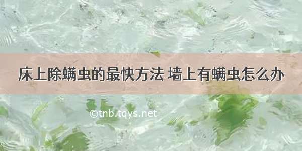 床上除螨虫的最快方法 墙上有螨虫怎么办