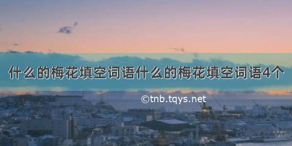 什么的梅花填空词语什么的梅花填空词语4个