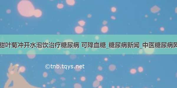 甜叶菊冲开水泡饮治疗糖尿病 可降血糖_糖尿病新闻_中医糖尿病网