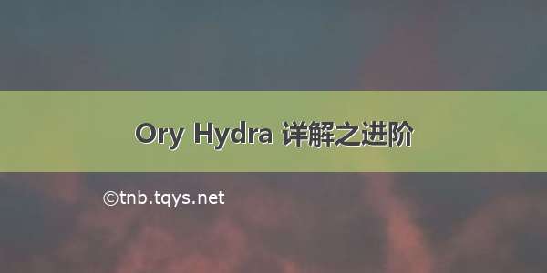 Ory Hydra 详解之进阶