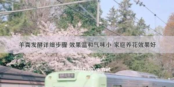 羊粪发酵详细步骤 效果温和气味小 家庭养花效果好