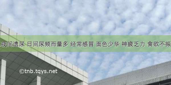 患儿 见夜间遗尿 日间尿频而量多 经常感冒 面色少华 神疲乏力 食欲不振 大便溏