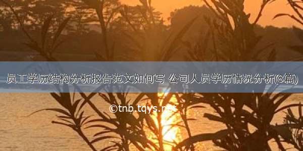 员工学历结构分析报告范文如何写 公司人员学历情况分析(8篇)