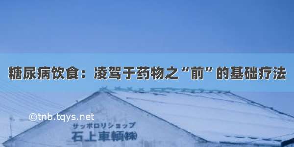 糖尿病饮食：凌驾于药物之“前”的基础疗法