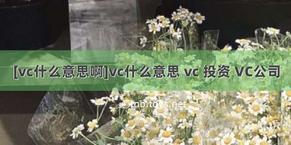 [vc什么意思啊]vc什么意思 vc 投资 VC公司