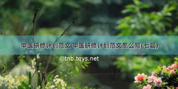 中医研修计划范文 中医研修计划范文怎么写(七篇)