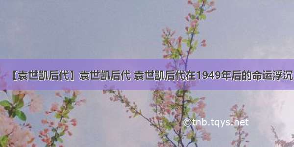 【袁世凯后代】袁世凯后代 袁世凯后代在1949年后的命运浮沉