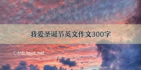 我爱圣诞节英文作文300字