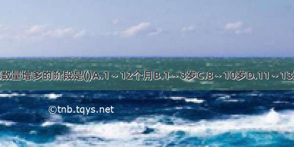 人体脂肪细胞数量增多的阶段是()A.1～12个月B.1～3岁C.8～10岁D.11～13岁E.13岁以上