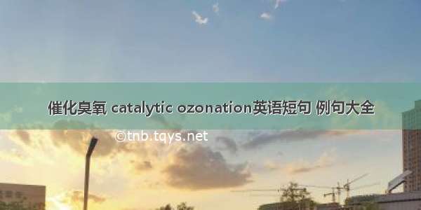 催化臭氧 catalytic ozonation英语短句 例句大全