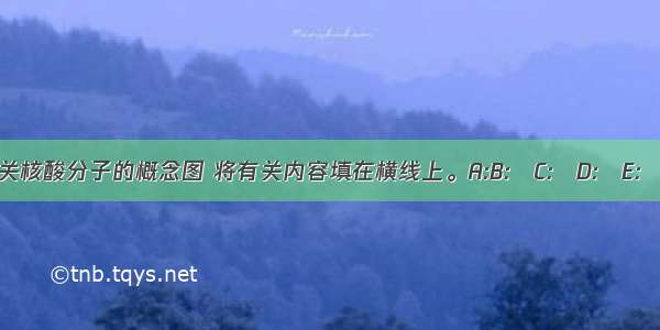 完成下面有关核酸分子的概念图 将有关内容填在横线上。A:B:　C:　D:　E:　F:　G:　H:　