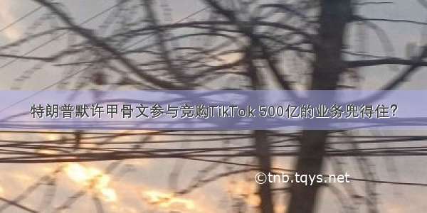 特朗普默许甲骨文参与竞购TikTok 500亿的业务兜得住？