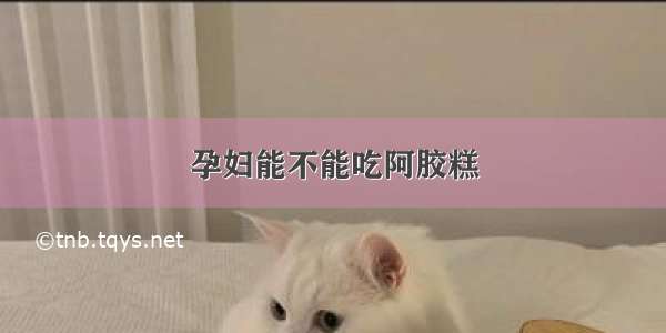 孕妇能不能吃阿胶糕